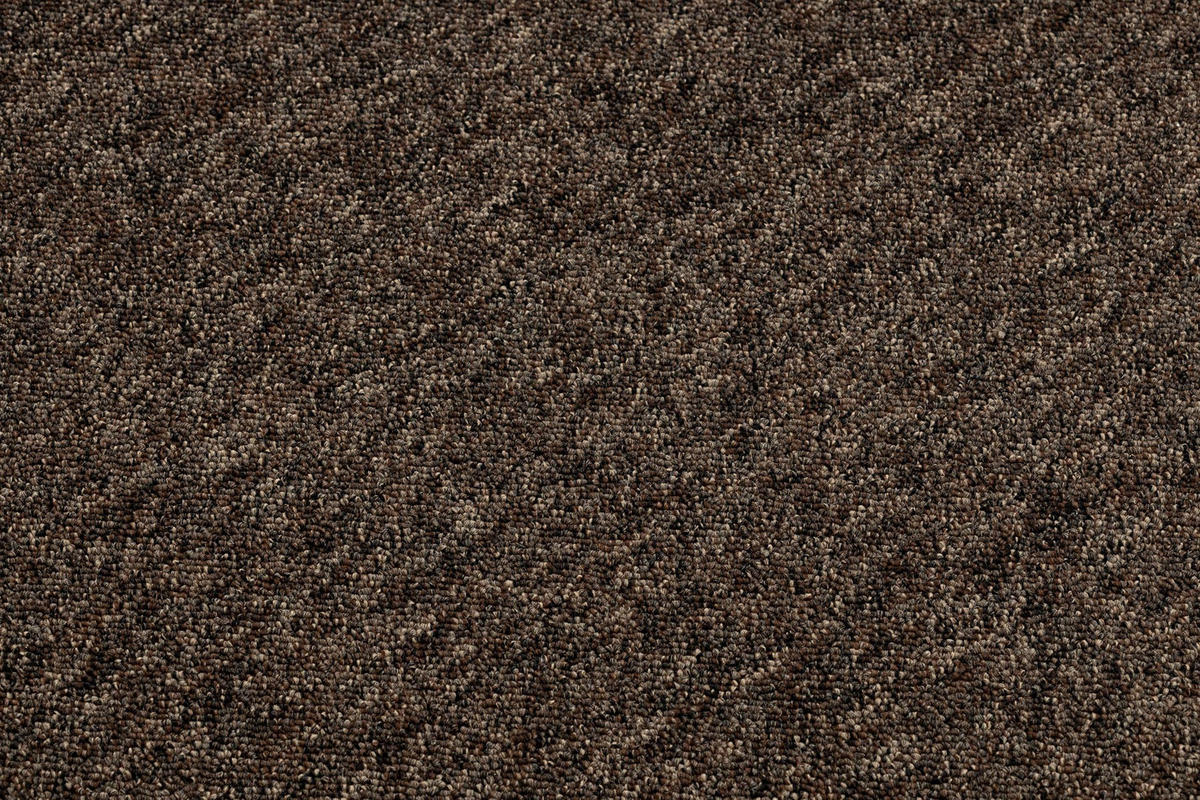 LÄUFERBODEN SUPERSTAR 888 250/300 cm - Braun, Textil (250/300cm) - rugsX
