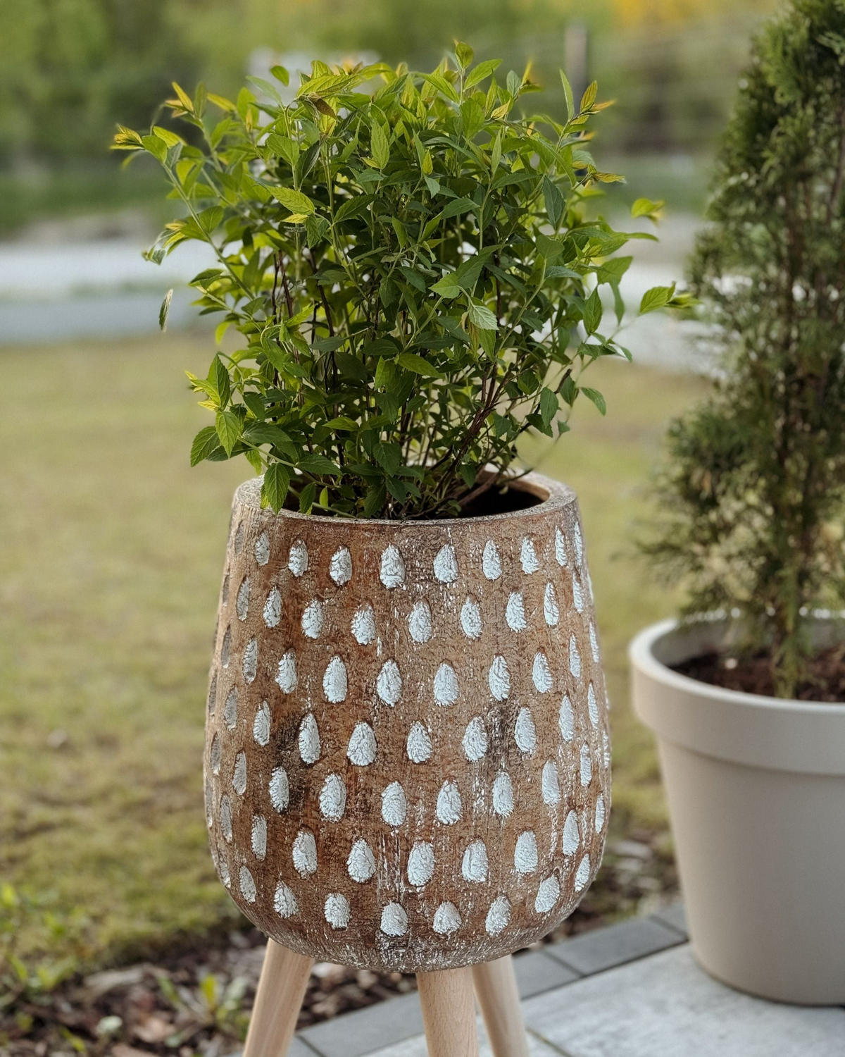 KVĚTINÁČ Hnědý Asclepias - bílá/hnědá, kámen (61cm) - Beliani