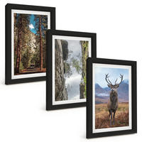 BILDER SET 3er Set - 20x30 cm Schwarzer Rahmen - Straße Wald Berge Hirsch Natur - Schwarz, Kunststoff (20/30cm) - TULUP