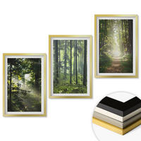 WANDBILDER 3er Set - 40x60 cm Goldrahmen - Grüne Wälder mit Lichtstrahlen - Goldfarben, Kunststoff (40/60cm) - ArtPrintCave