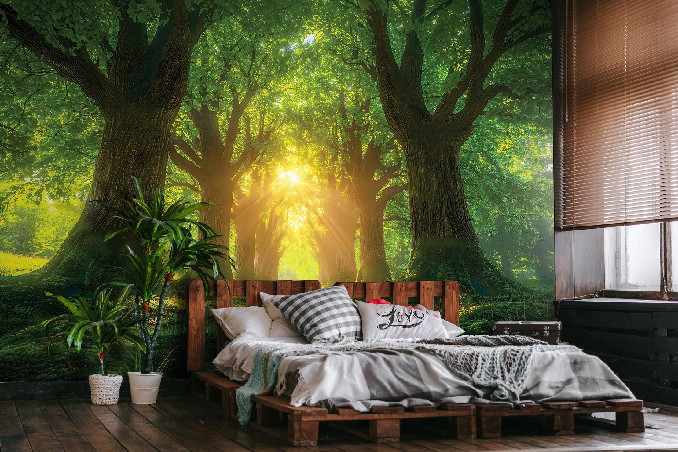 FOTOTAPETE Wald Bäume Grün 416x254 cm - Multicolor, Textil (416/254cm) - Wallarena