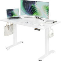 SCHREIBTISCH höhenverstellbar elektrisch 120x60 cm Weiß - Weiß, Metall (60/120/118cm)
