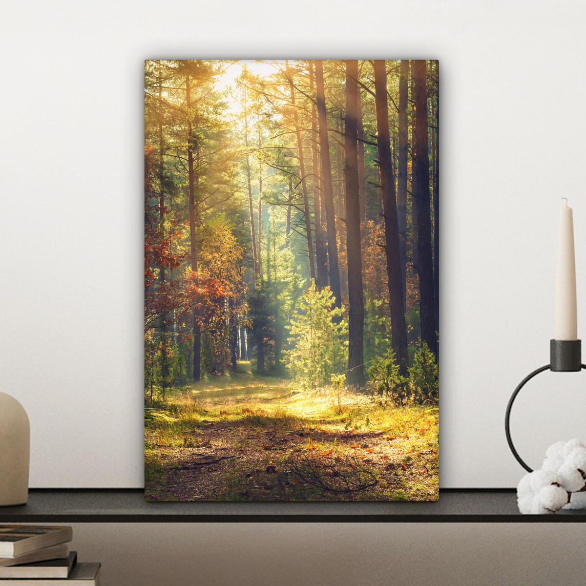 LEINWANDBILD Wald - Herbst - Bäume 20x30 cm - Dunkelgrün, Textil (20/30cm) - MuchoWow