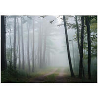 FOTOTAPETE Wald Natur Vlies Tapete Wohnzimmer Schlafzimmer 150x105 - Grau, Papier (150/105cm) - Wallarena