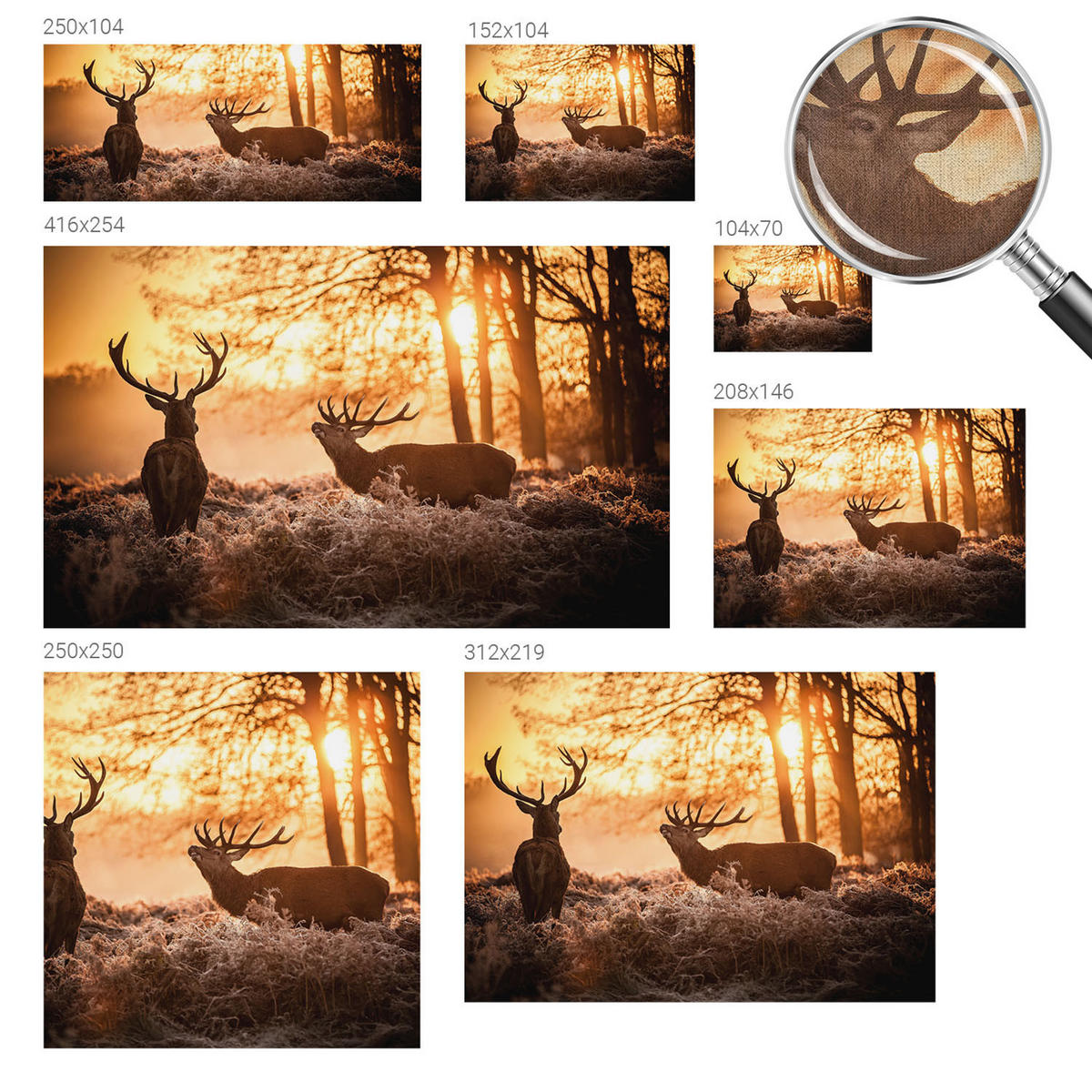 FOTOTAPETE 104x70 cm - Rehe am Morgen - Schwarz, Textil (104/70cm) - Wallfluent
