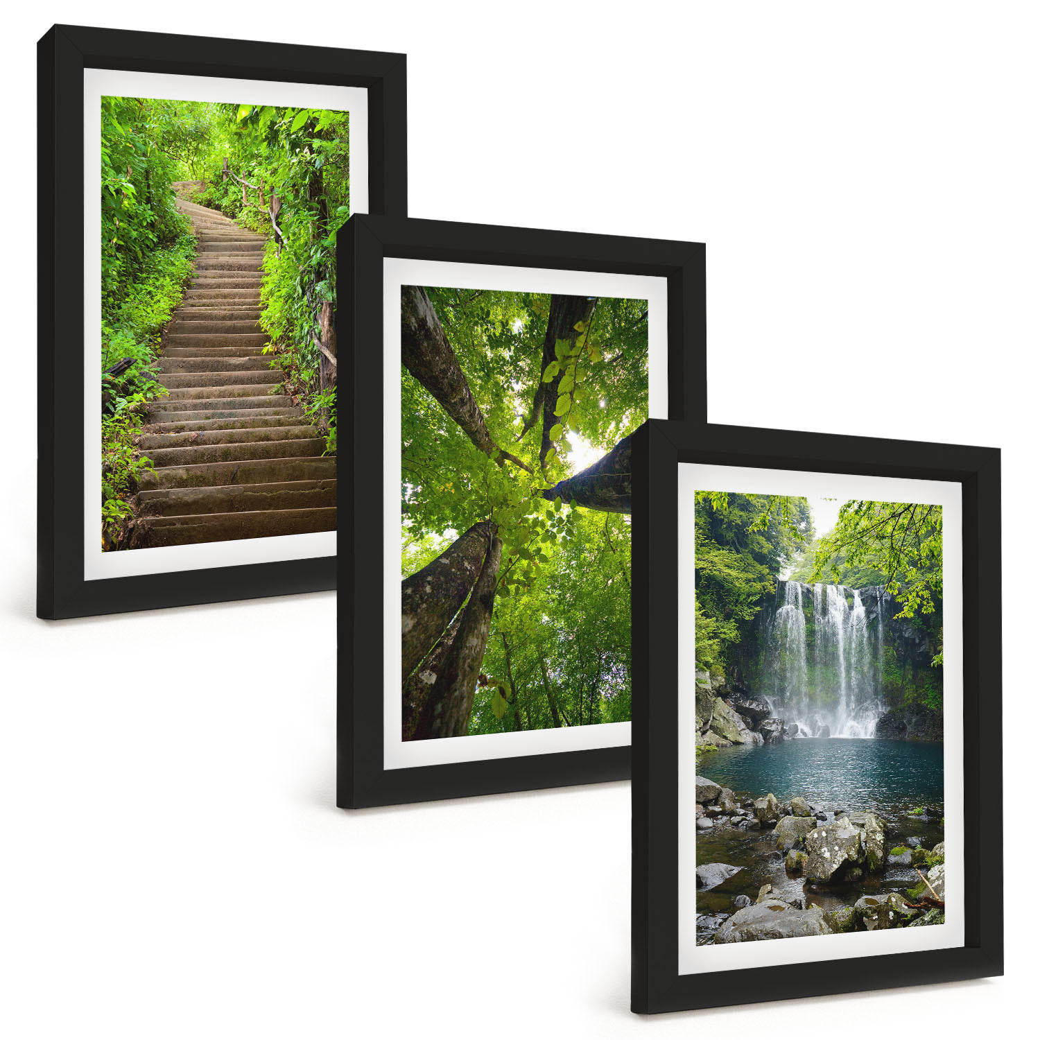 BILDER SET 3er Set - 20x30 cm Schwarzer Rahmen - Pfad Wald Wasserfall Vegetation - Schwarz, Kunststoff (20/30cm) - TULUP