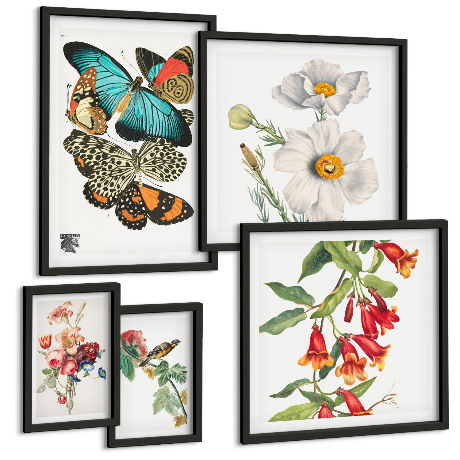 BILDER SET 5er Set - 50x50 cm & 20x30 cm & 40x60 cm Schwarzer Rahmen - Blumen, Schmetterlinge, Vögel, Pastellfarben - Schwarz, Kunststoff (40/60cm) - TULUP