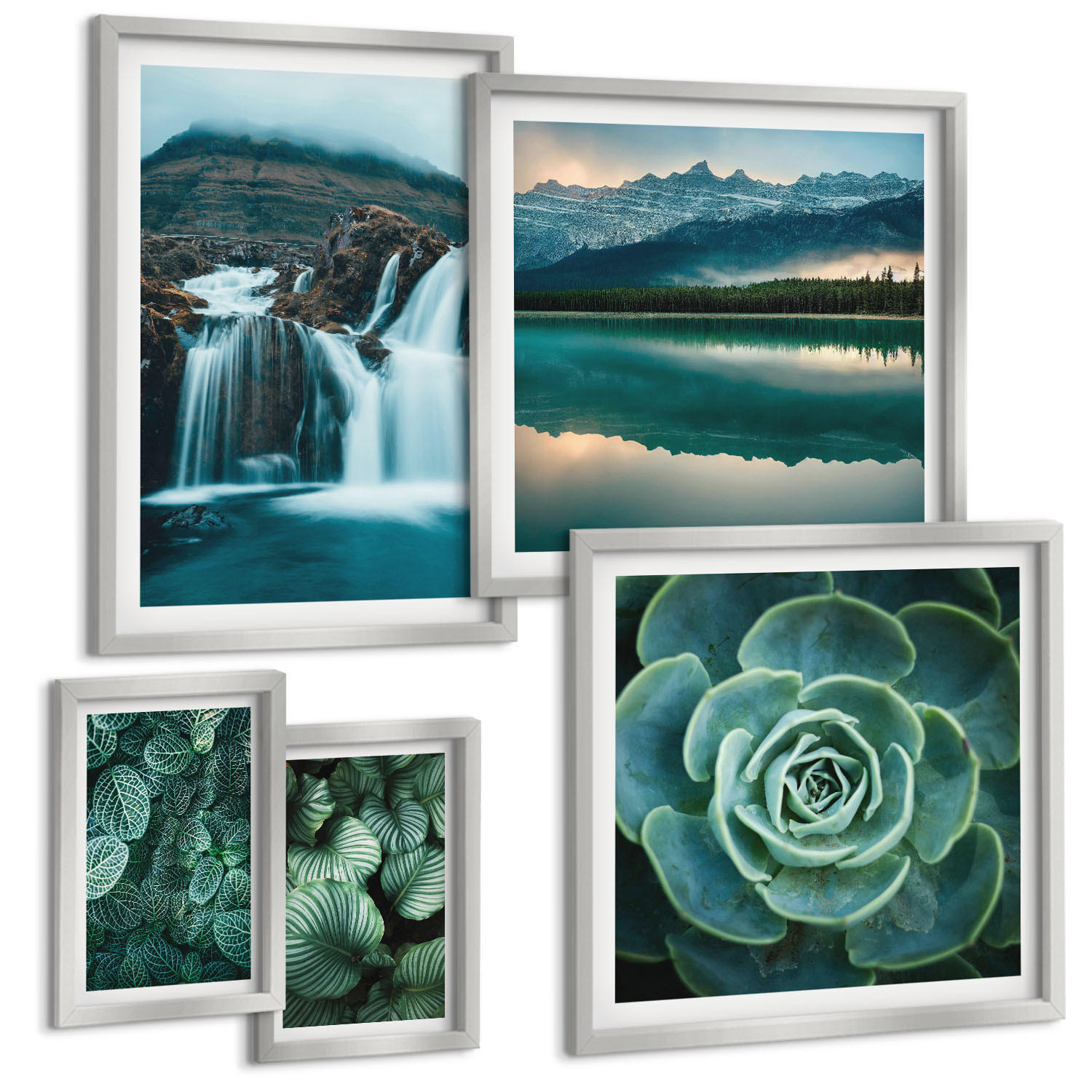 BILDER SET 5er Set - 50x50 cm & 20x30 cm & 40x60 cm Silberner Rahmen - Sukkulenten in Grün und Türkis - Silberfarben, Kunststoff (40/60cm) - TULUP