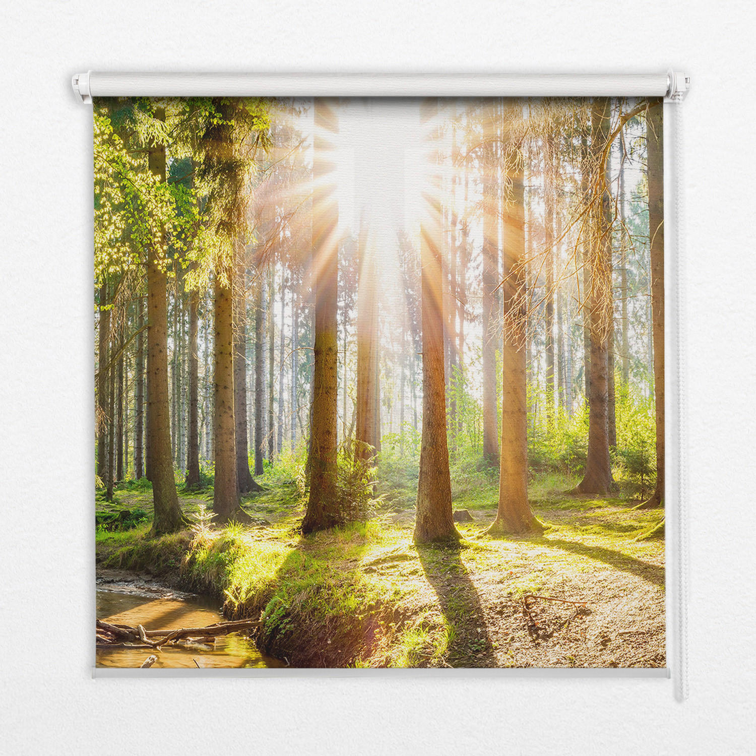 VERDUNKELUNGSROLLO 90x240 cm Sonne im Wald - Braun, Textil (90/240cm) - TULUP
