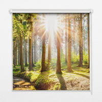 VERDUNKELUNGSROLLO 90x240 cm Sonne im Wald - Braun, Textil (90/240cm) - TULUP
