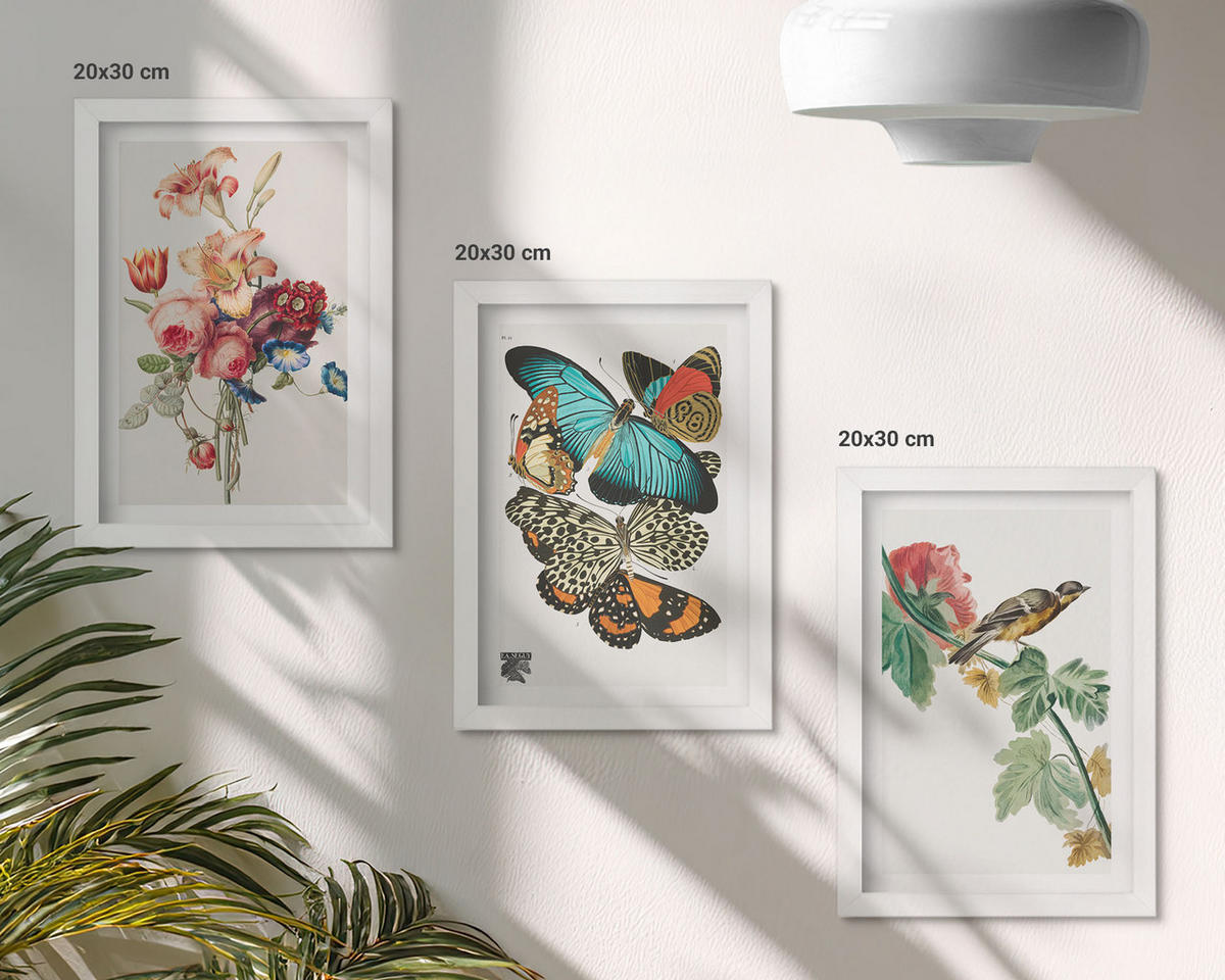 WANDBILDER 3er-Set - 20x30 cm Weißer Rahmen - Blumen, Schmetterlinge, Vögel, Pastellfarben - Weiß, Kunststoff (20/30cm) - ArtPrintCave