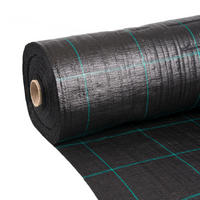 UNKRAUTVLIES, 2x50m, Polypropylen, schwarz - Schwarz, Kunststoff (200/1/5000cm) - BONI-SHOP
