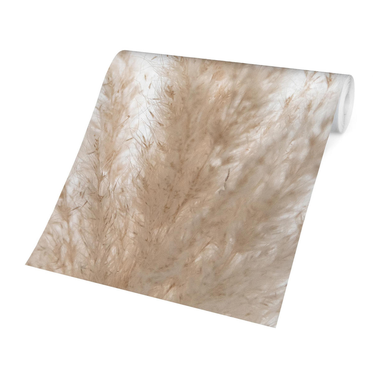 FOTOTAPETE Zartes Pampasgras Close Up 288/288 cm - Eichefarben, Papier (288/288cm) - Bilderwelten