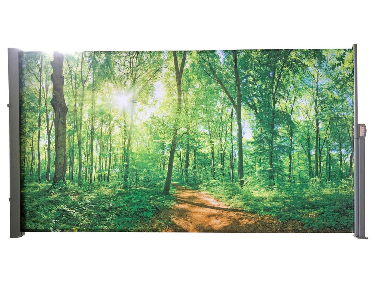 SEITENMARKISE Fabi Motiv Waldlichtung Mehrfarbig Markise ausziehbar - Grün, Kunststoff (9/160/300cm) - DELUKE