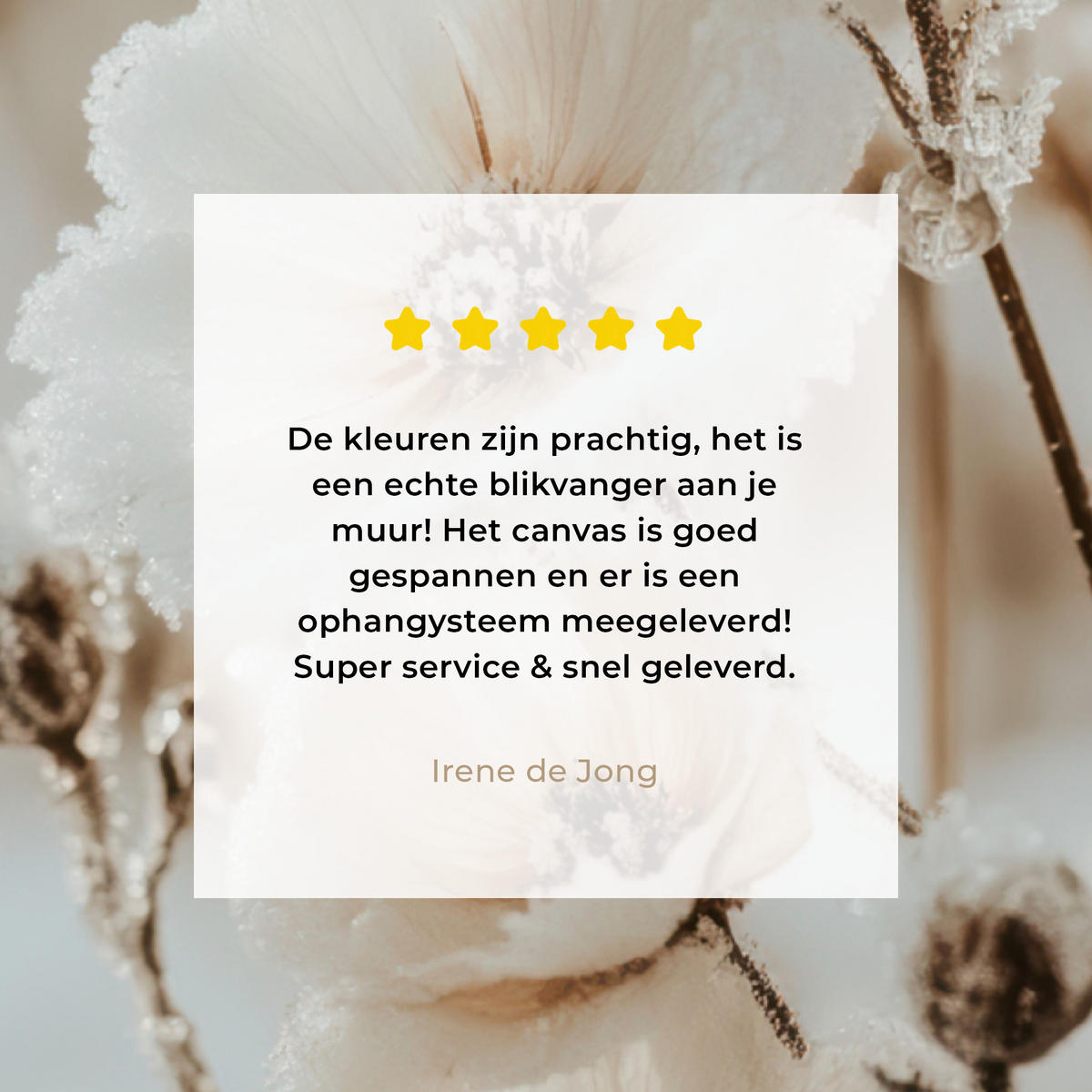 LEINWANDBILD Blumen - Winter - Weiß - Schnee - Beige 30x40 cm - Creme, Textil (30/40cm) - MuchoWow