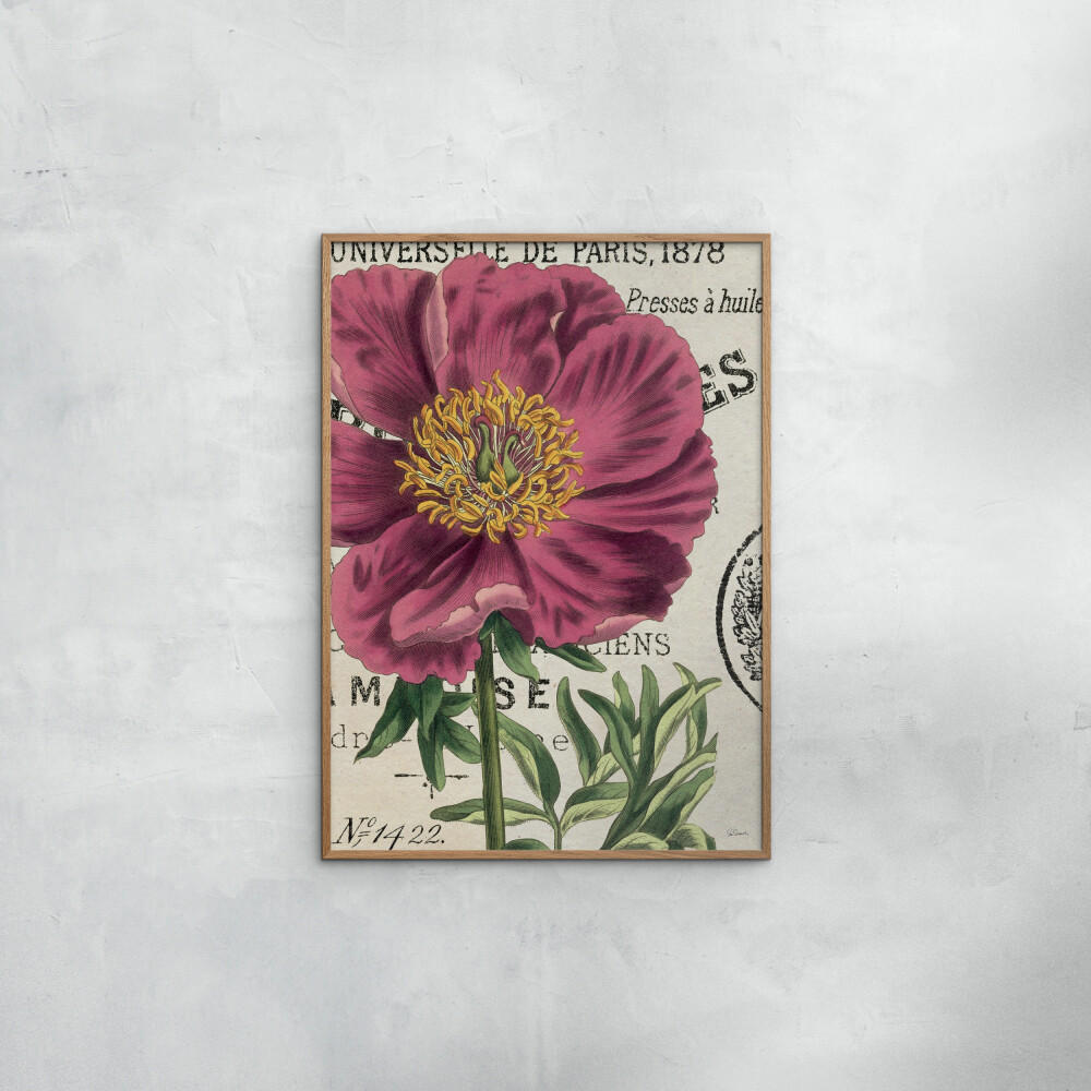 POSTER mit Rahmen Wild Apple - Global - Pink/Eichefarben, Holz/Papier (50/70cm) - Poster&Frame