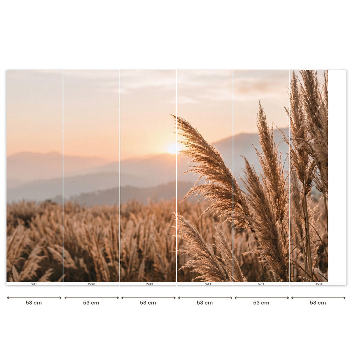 TAPETE - Gras - Feld - Sonne - Natur - 300x200 cm - Sandfarben, Papier (300/200cm) - OnlyWow