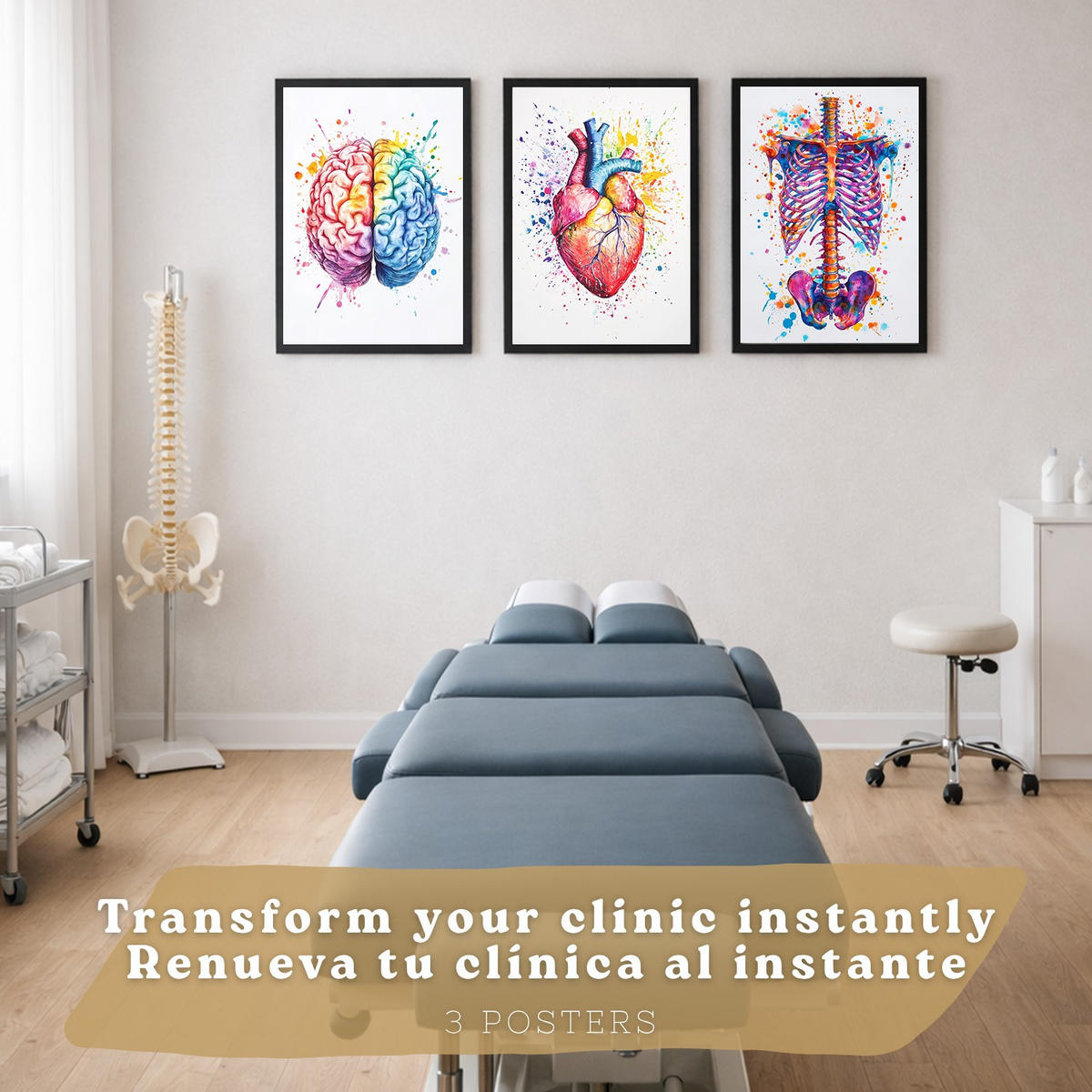 POSTER Set aus 3 Anatomie Mensch Drucke und Wandbilder mit Gehirn Herz Rippen Wirbelsäule Lebendiges Aquarell Design Größe Schwarzer Rahmen A3 - Schwarz, Papier (29.7/42/3cm) - Nacnic