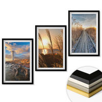 WANDBILDER 3er-Set - 40x60 cm Schwarzer Rahmen - Leuchtturm-Grassteg - Schwarz, Kunststoff (40/60cm) - ArtPrintCave