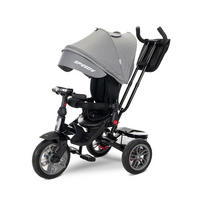 DREIRAD Speedy dunkelgrau Luftreifen, Musikfunktion, Licht am Lenker, Schubstange, Sonnendach - Grau, Metall (109/52/102cm) - Lorelli