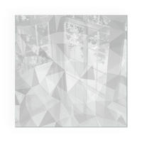 GLASPLATTE für Kamin 60x60 cm - Grau, Glas (60/60/0.4cm) - TULUP