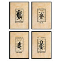 POSTER Set mit 4 von Bettwäsche Käfer gravierten Stil und Sepia Tönen A3 Rahmenlos - Klar, Papier (29.7/3cm) - Nacnic
