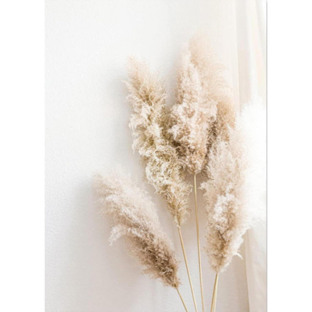POSTER Set 3-teilig Schilf Natur 30x40 cm - Beige, Papier (30/0.1cm)