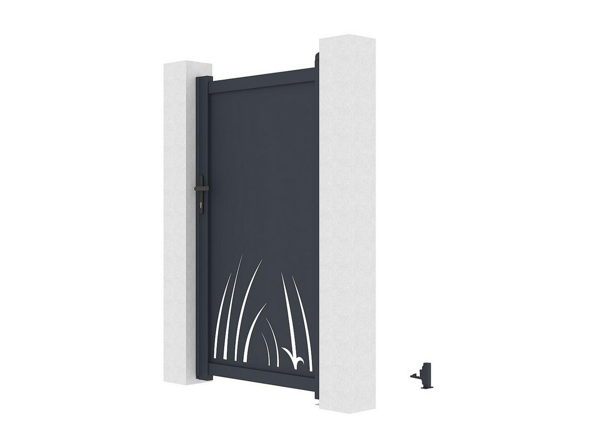 EINGANGSTOR - 103 x 4.6 - metall - anthrazitgrau Brameno - Anthrazit, Metall (103/176cm) - Vente-Unique