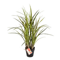 KUNSTPFLANZE Künstliches Grass - Oceane 75 cm - Multicolor, Kunststoff (75cm) - aplanta