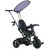 6-IN-1 Dreirad mit Schubstange, Kinderdreirad mit abnehmbarem Sonnendach Blau - Blau, Metall (105/47/98cm) - HOMCOM