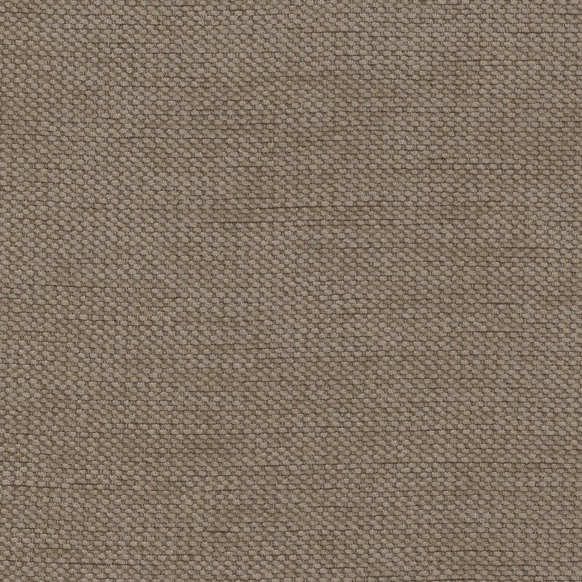 SCHLAFSOFA mit Bettkasten und Schlaffunktion - Schwarz/Braun, Holz/Kunststoff (210/96/106cm) - ed exciting design