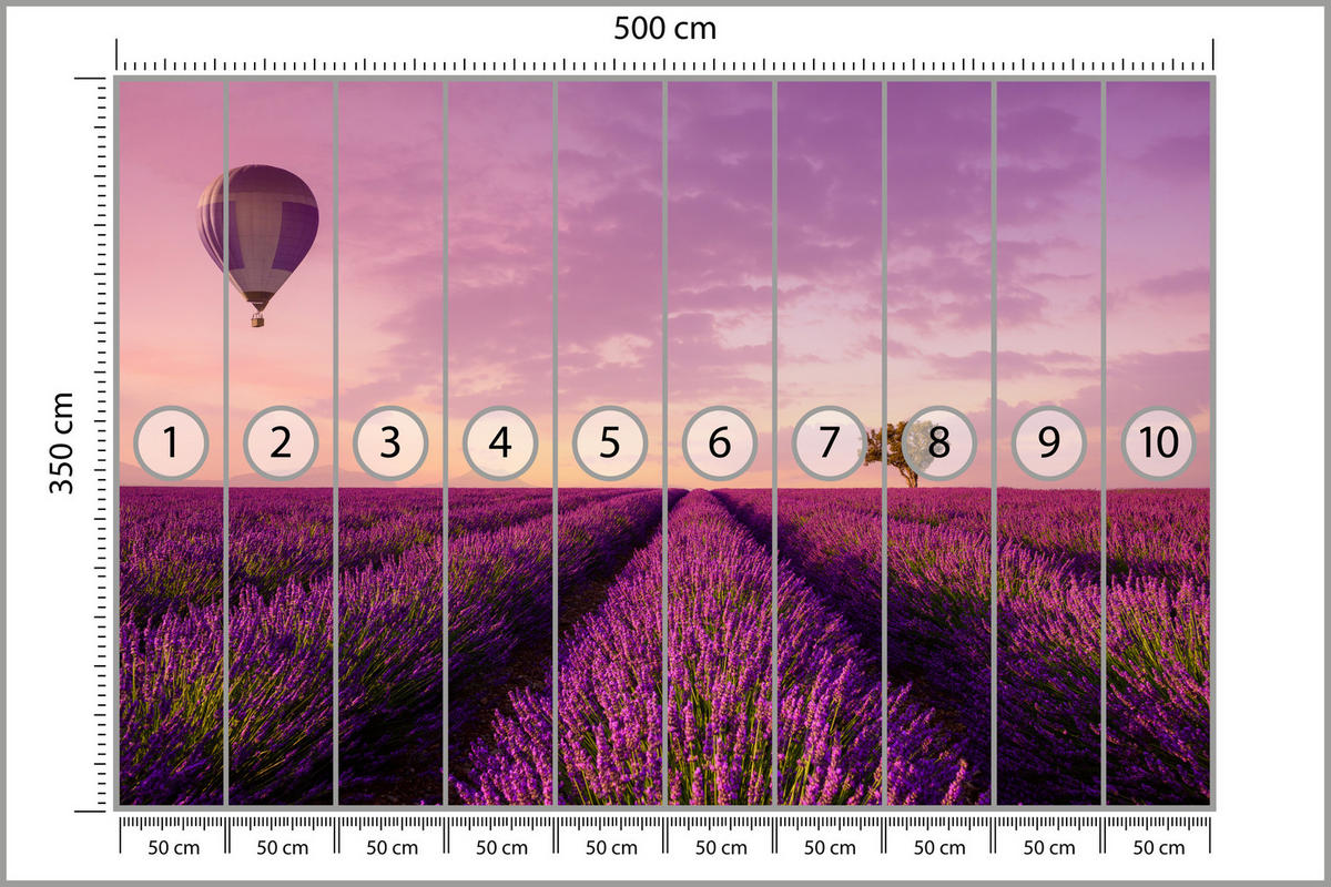 FOTOTAPETE für Wohnzimmer Lavendelfeld Heißluftballon Provence 500x350 - Violett/Lila, Papier (500/350cm) - Muralo