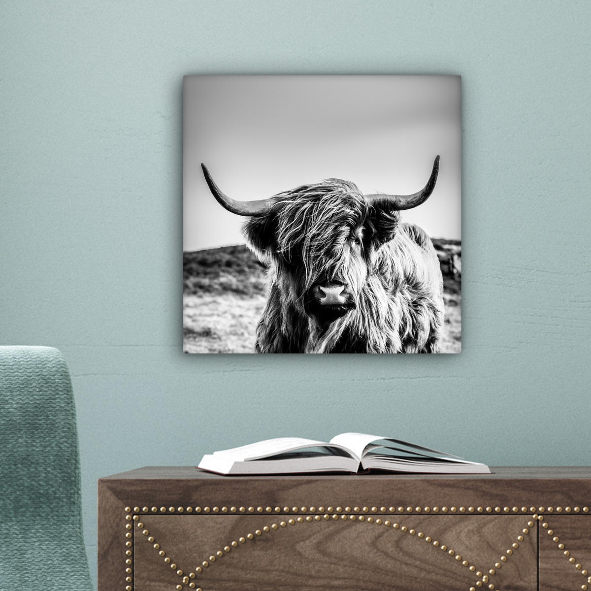 OBRAZ NA PLÁTNĚ Kráva - Skotský horal - Černá - Bílá - Zvíře - Příroda - Divoká zvěř 20x20 cm - černá, textil (20/20cm) - MuchoWow