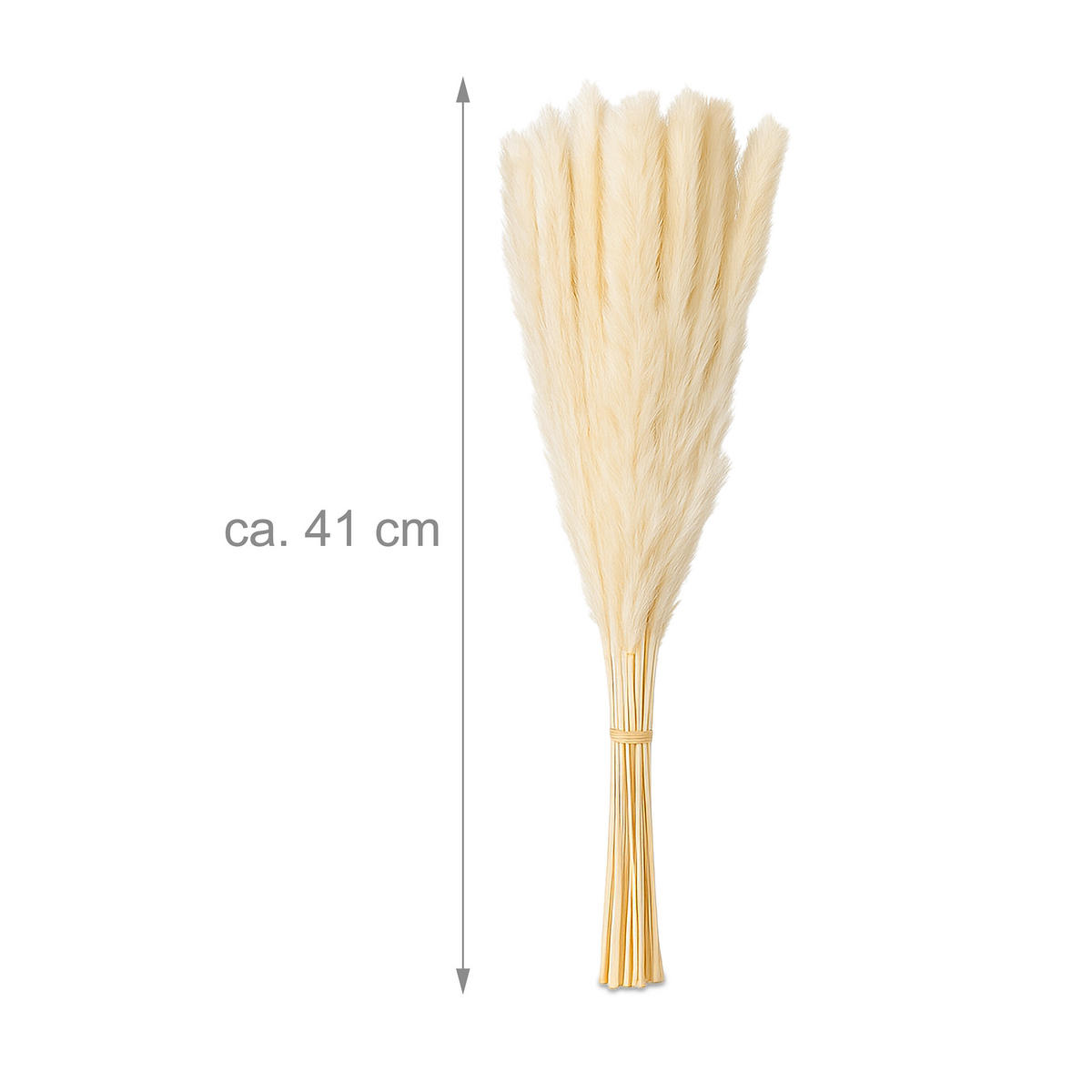 144XPAMPASGRAS - Multicolor, Textil (41cm) - Relaxdays