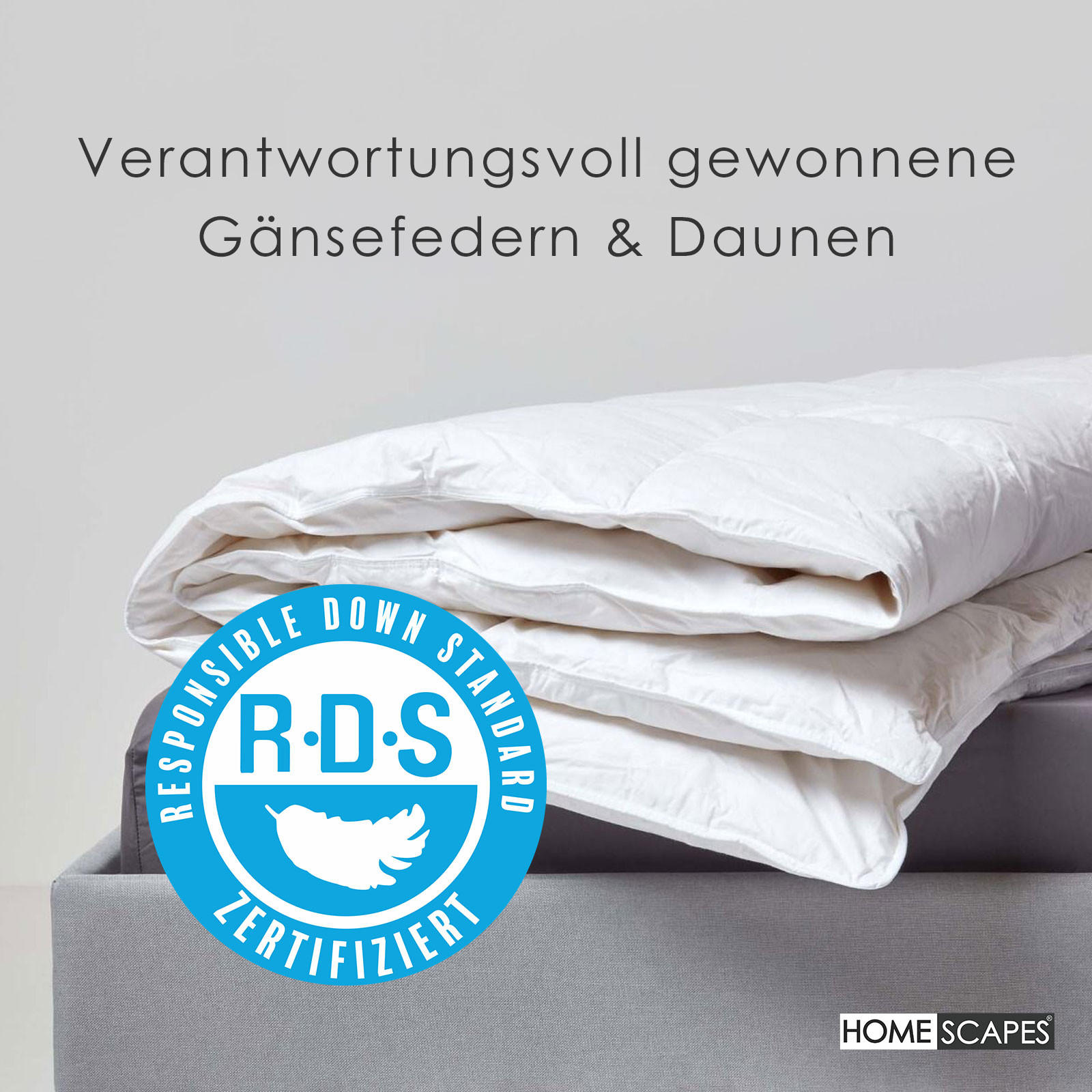 Thumbnail - Homescapes 4-Jahreszeiten-Bettdecke, Weiß, Textil, Füllung: Federn, Rechteckig, 260x220 cm, Oeko-Tex®, Schlaftextilien, ...