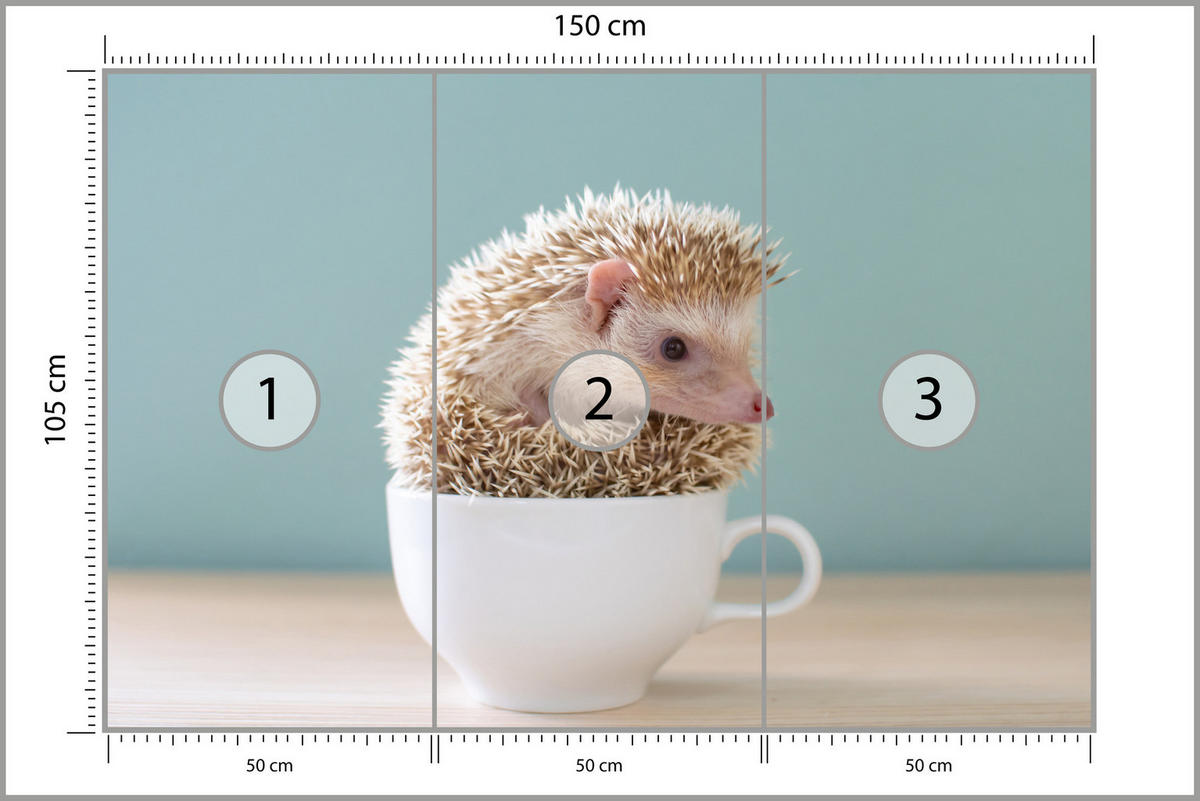 FOTOTAPETA Pre Jedáleň Ježko Biela Šálka Roztomilé Zviera 150 x 105 cm - biela/béžová, papier (150/105cm) - Muralo