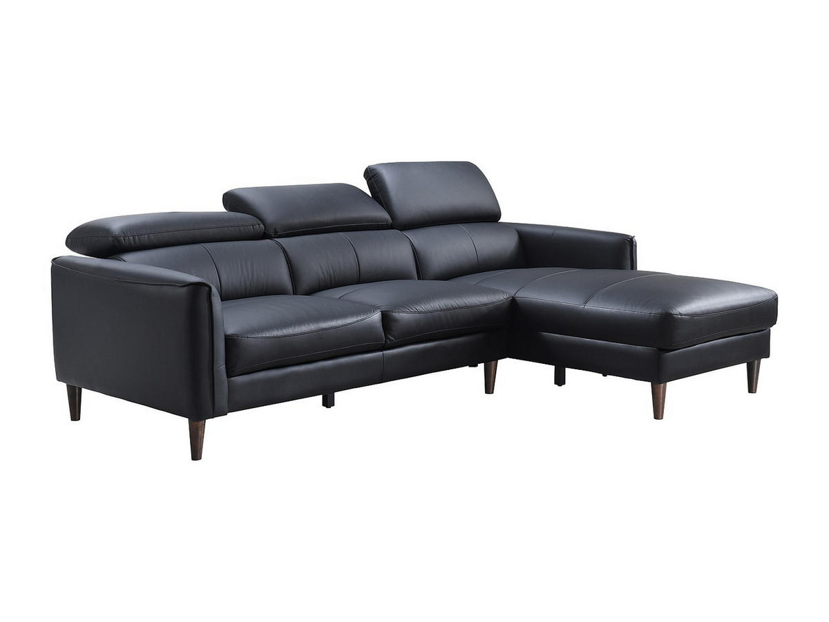 SOFA - 5 Personen - leder - schwarz Salvi - Schwarz, Leder/Holz (248/77/179cm) - Vente-Unique
