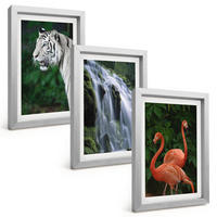 BILDER SET 3er Set - 20x30 cm Silberner Rahmen - Tiger Wasserfall Flamingos Natur - Silberfarben, Kunststoff (20/30cm) - TULUP
