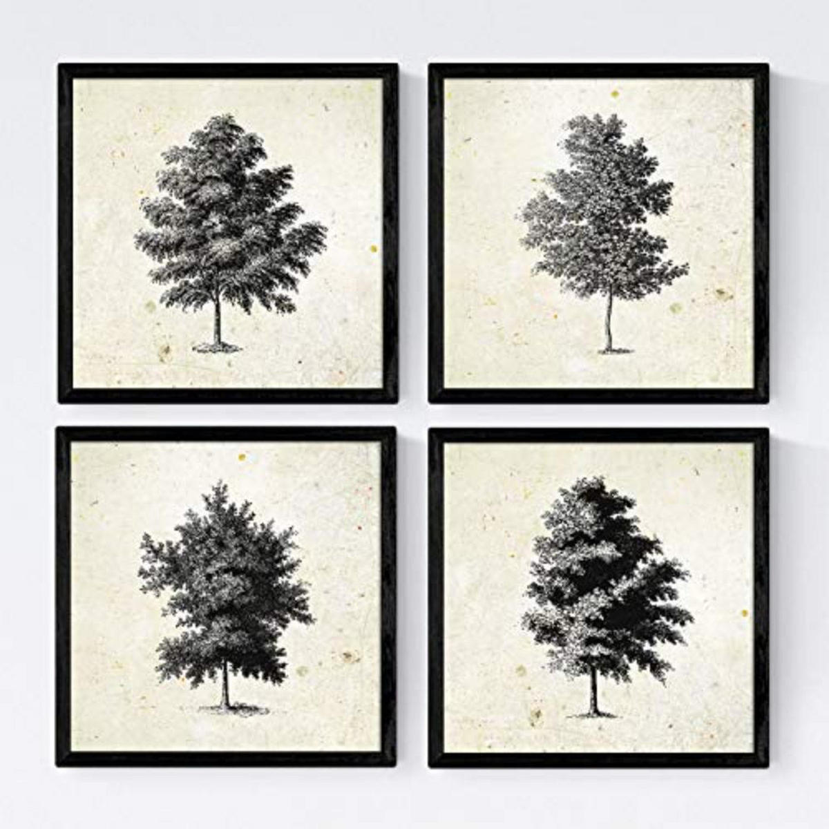 POSTER Set mit 4 Blättern der dünne Kruste Jahrgang Hintergrund 20x20cm Rahmenlos - Klar, Papier (20/3cm) - Nacnic