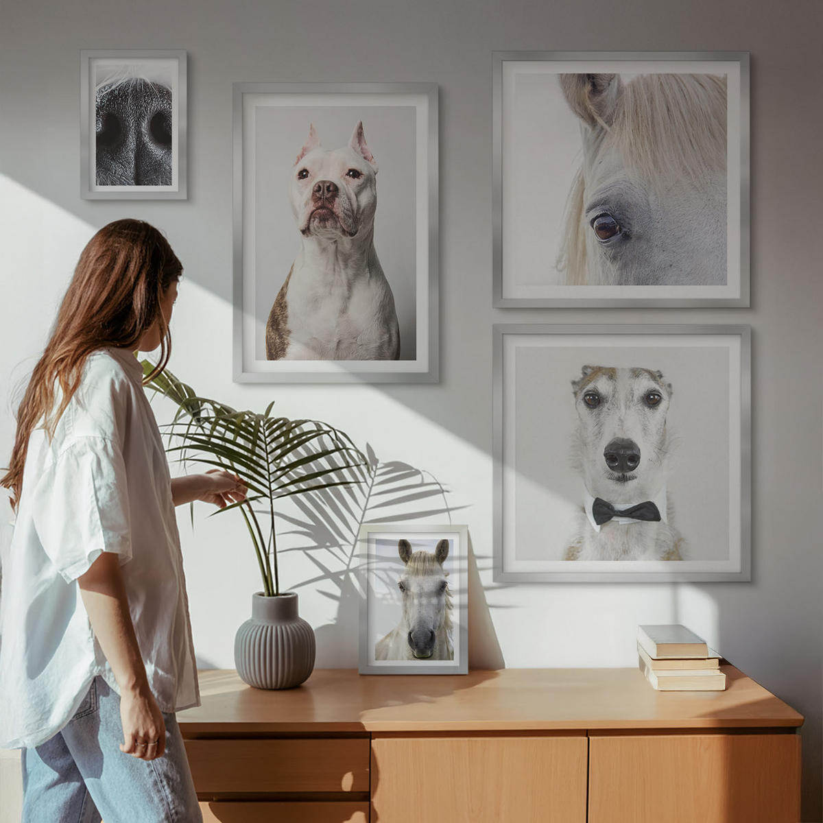 BILDER SET 5er Set - 50x50 cm & 20x30 cm & 40x60 cm Silberner Rahmen - Elegante Porträts von Hunden und Pferden - Silberfarben, Kunststoff (40/60cm) - TULUP