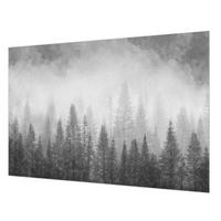 FOTOTAPETE 152x104 cm - Waldnebel - Grau, Textil (152/104cm) - Wallfluent