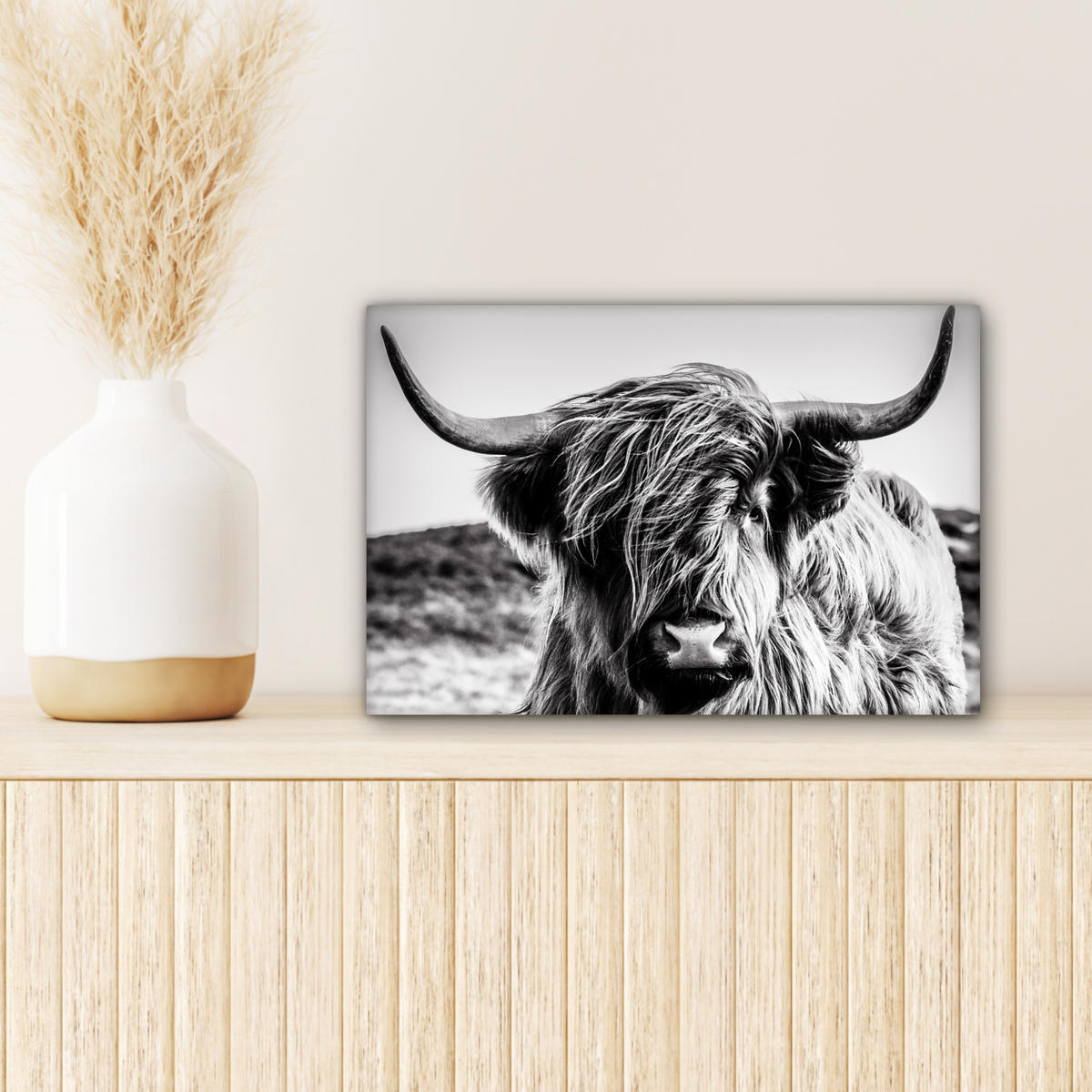 LEINWANDBILD Kuh - Schottischer Hochländer - Schwarz - Weiß - Tier - Natur - Wildtiere 30x20 cm - Schwarz, Textil (30/20cm) - MuchoWow