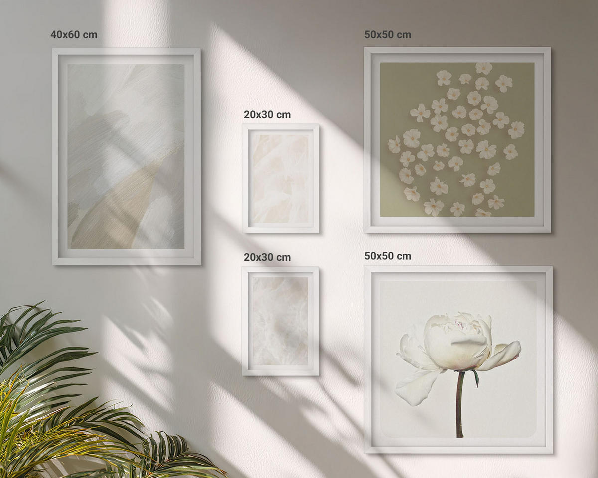 BILDER SET 5er Set - 50x50 cm & 20x30 cm & 40x60 cm Weißer Rahmen - Blumen, modische Boho-Texturen - Weiß, Kunststoff (40/60cm) - TULUP