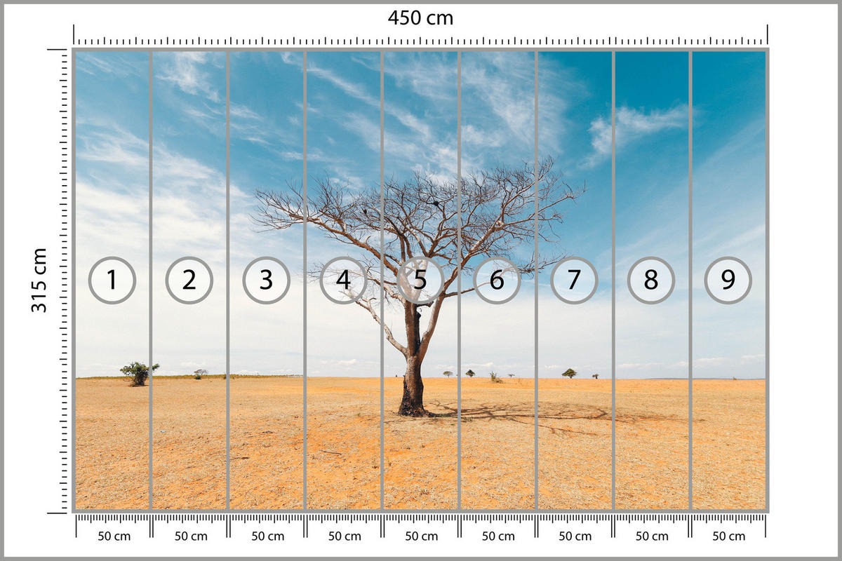 FOTOTAPETE für Wohnzimmer Trockener Baum Wüste Sand 450x315 - Beige/Orange, Papier (450/315cm) - Muralo