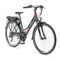 E-BIKE XT485 Trekking Elektrofahrrad 21-Gang Shimano Kettenschaltung, Pedelec, 14,5Ah, 37V Akku - Anthrazit, Metall (112cm) - Telefunken