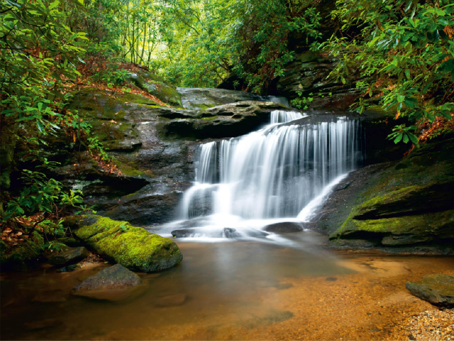 FOTOTAPETE Wasserfall 375 x 270 cm - Grün, Papier (375/270cm) - Sanders & Sanders