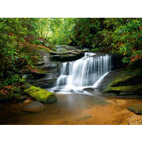 FOTOTAPETE Wasserfall 375 x 270 cm - Grün, Papier (375/270cm) - Sanders & Sanders