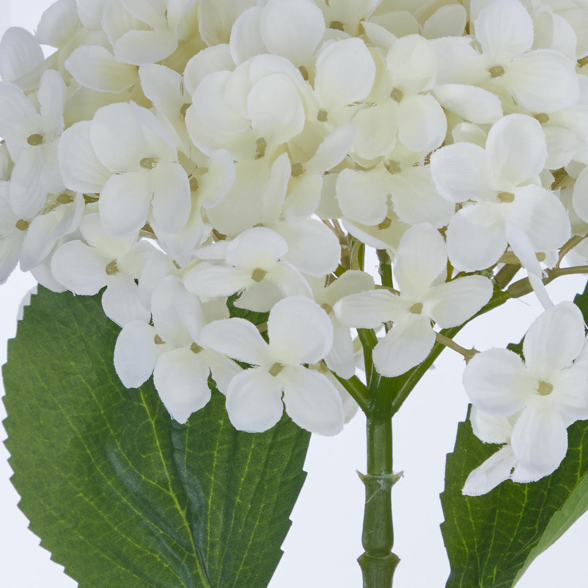 KUNSTBLUME Florista Hortensie 72cm - Weiß, Kunststoff (72cm) - Butlers