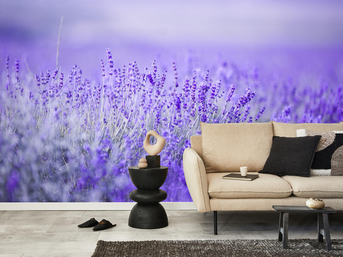 FOTOTAPETE für Küche Lavendelwiese Blüten Fliederfeld 500x350 - Violett/Lila, Papier (500/350cm) - Muralo