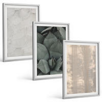 BILDER SET 3er Set - 40x60 cm Silberner Rahmen - Sommerliche tropische Texturen - Silberfarben, Kunststoff (40/60cm) - TULUP